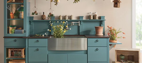Blue kitchen cabinetry with green plants.